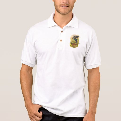 Gould - wenig großartiges Vogel-Von-Paradies Tshirts