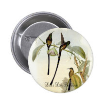 Gould - Zug-Träger Kolibri Buttons