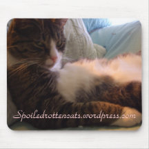 Graf - verdorbene faule Katzen Mauspad