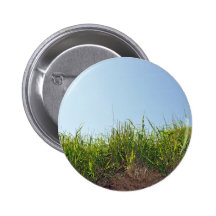 Gras, das auf trockenem Boden wächst Anstecknadel