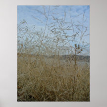 Gras und Himmel Posterdruck