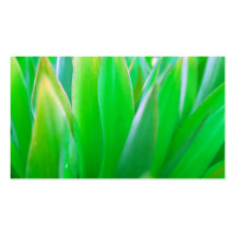 GRAS VISITENKARTENVORLAGE