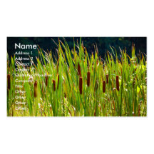 Grasartiges Feld - Visitenkarteschablone