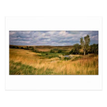 Grasartiges Hügel-Grasland Postkarte