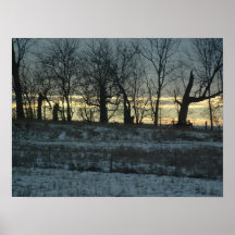 Grasland-Gold Plakat