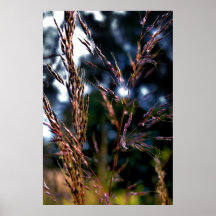 Grasland-Gras-Druck Plakatdruck