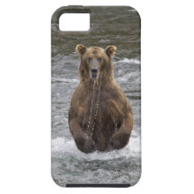 Graubär von Alaska iPhone 5 Etuis