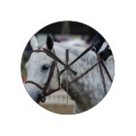 Graue Appaloosa-Pferdeuhr