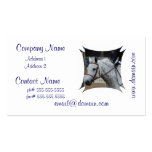 Graue Appaloosa-PferdeVisitenkarten
