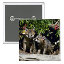 Graue Fuchs-junge Ausrüstungen an der Höhle Anstecknadelbuttons