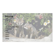 Graue Fuchs-junge Ausrüstungen an der Höhle Visitenkarten Vorlage