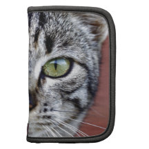 Graue Katze Mappen