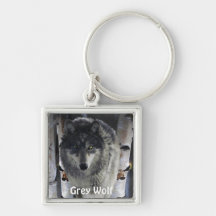 GRAUE SATZ-WOLF Sammlung Schlüsselbänder