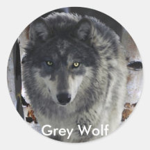 GRAUE SATZ-WOLF Sammlung Sticker
