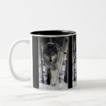 GRAUE TIMBERWOLF Geschenk-Becher Kaffee Tassen