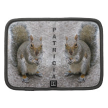 Grauer Eichhörnchen-Planer-/Organisator-Kasten
