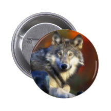 Grauer Wolf, Arten-Digitalfotografie Button