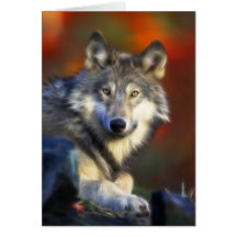 Grauer Wolf, Arten-Digitalfotografie Karte