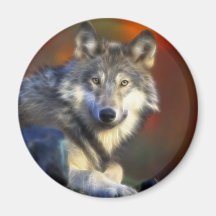 Grauer Wolf, Arten-Digitalfotografie Kühlschrankmagnet
