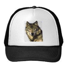 Grauer Wolf Baseballcaps