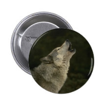 Grauer Wolf Buttons