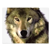 Grauer Wolf Individuelle Einladungskarte