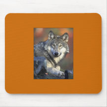 Grauer Wolf Mousepad