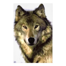 Grauer Wolf Personalisierte Büropapiere