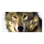 Grauer Wolf Personalisierte Photo Karte