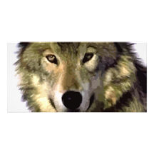 Grauer Wolf Personalisierte Photo Karte