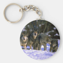 Grauer Wolf-Satz am Rand des schneebedeckten Walde Schlüsselanhänger