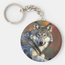 Grauer Wolf Schlüsselbänder