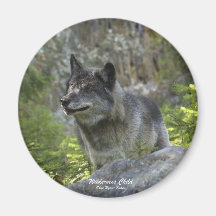 Grauer Wolf-Tier-Fotografie-Magnet Kühlschrankmagnet