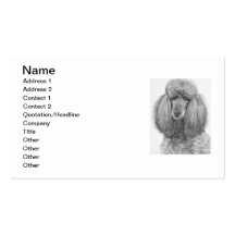 Graues StandardPoodle.jpg Visitenkartenvorlage