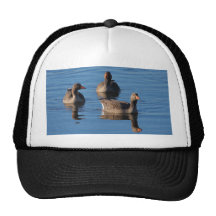 Graugans-Gans-Trio Retrokultcap