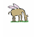 grazing pegasus t shirts