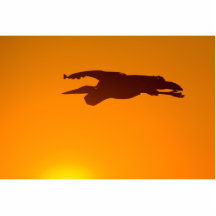 Great Blue Heron Sunset Photo Sculpture