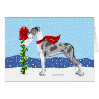 Great Dane Christmas Mail Merle UC Greeting Cards