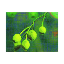 GreenBerries Galerie Gefaltete Leinwand