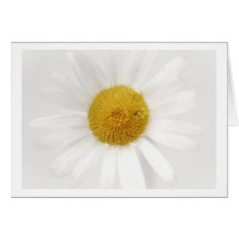Greeting Card Marguerite Grußkarte