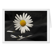 Greeting Card Marguerite Karte