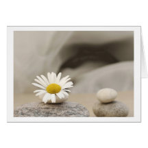 Greeting Card Marguerite Karten