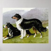 Grenzcollie, hochwertiges Hundezeichnen Posterdrucke