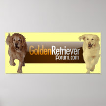 GRF Plakat