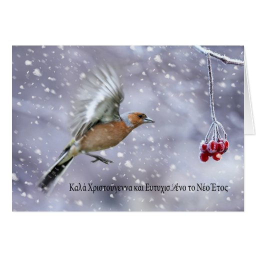 Griechische Weihnachtskarte Mit Chaffinch Im Flug Grußkarte Zazzle 