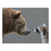 Grizzle Bär trifft Waschbären Einladung
