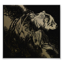 Grizzlybärphotographie