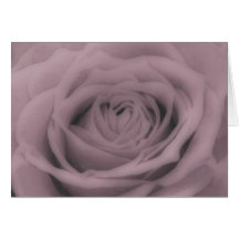 Groß-Rose Grußkarten