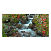Großartiger Kaskaden-Sehne-Wasserfall Bilderkarten