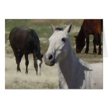 Große Augen-hübscher kleiner grauer grauer Pony-He Grußkarten